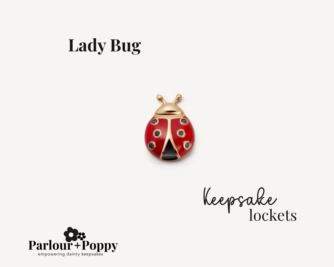 Lady Bug Charm