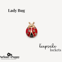 Lady Bug Charm