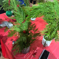 DIY Whoville Workshop