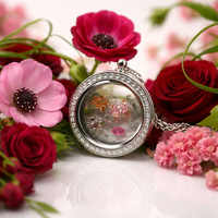 Silver Locket and Charms