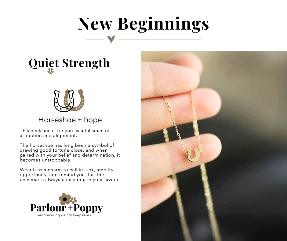 Horseshoe + Hope Dainty Gold Horseshoe + CZ Necklace